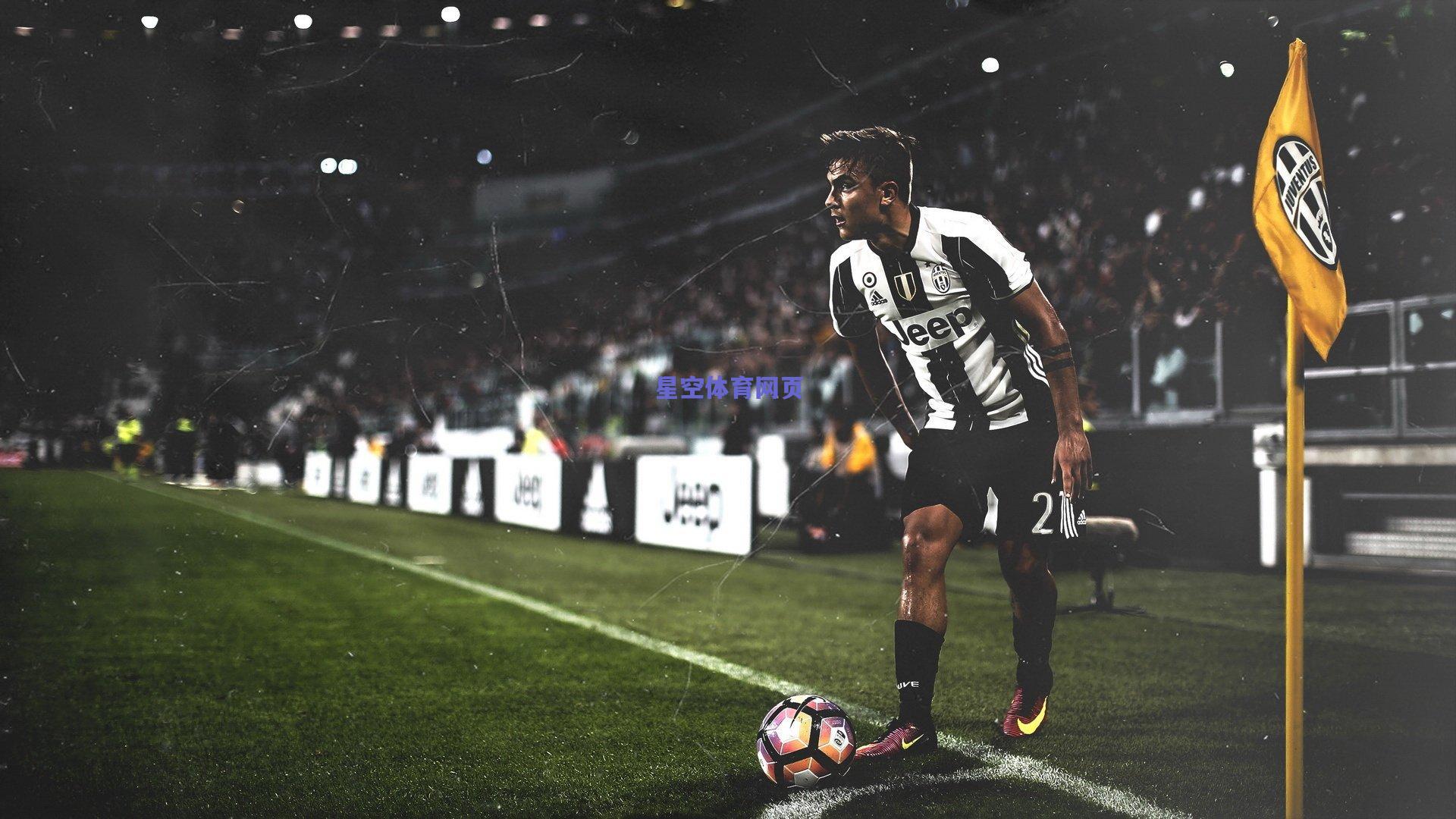 篮球名将翟小川求婚成功 长城之巅见证体坛浪漫时刻